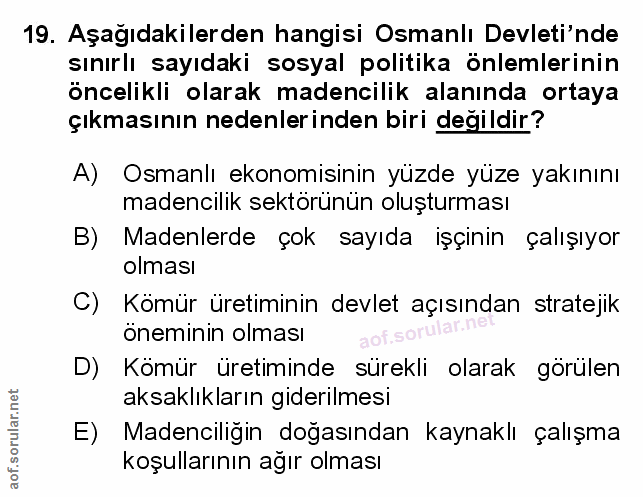 Soru 19