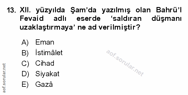 Soru 13