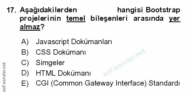 Soru 17