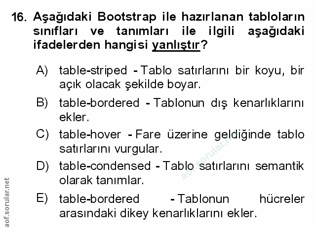 Soru 16