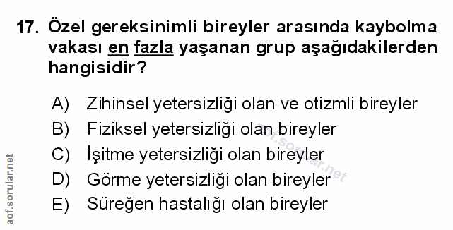 Soru 17