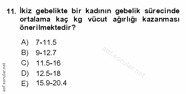 Soru 11