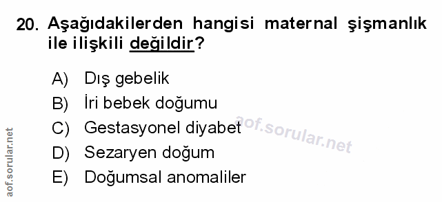 Soru 20