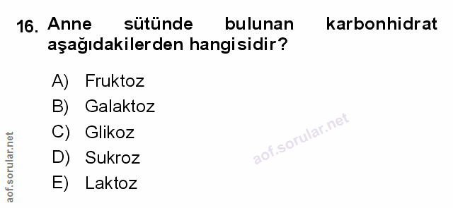 Soru 16