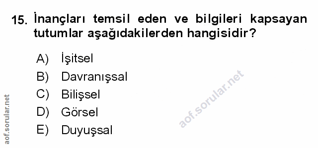 Soru 15