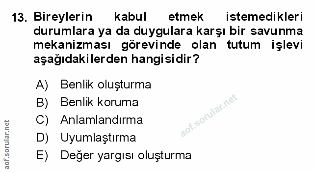 Soru 13