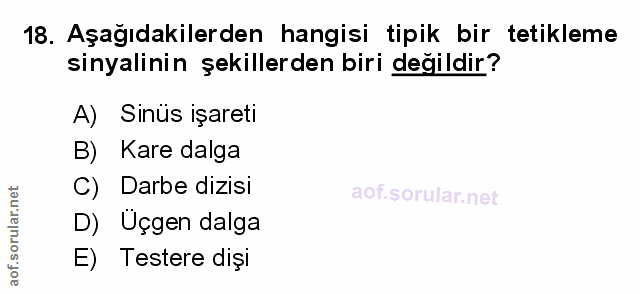 Soru 18
