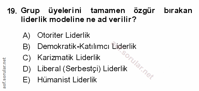 Soru 19