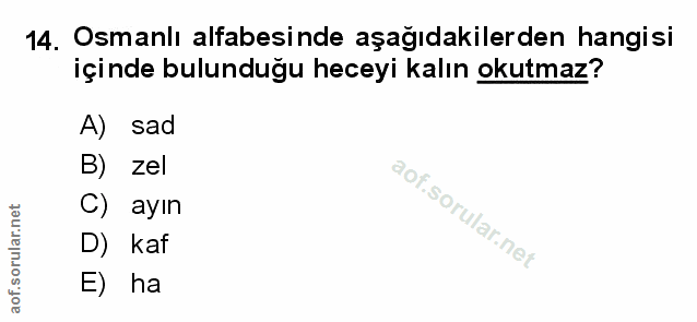 Soru 14