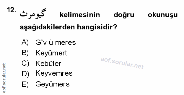 Soru 12