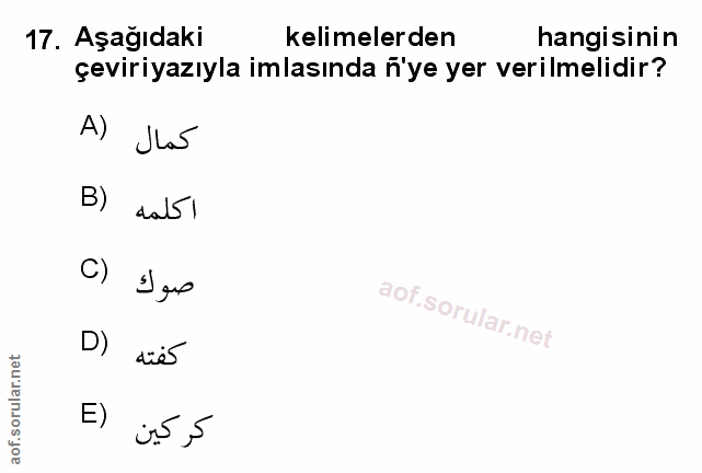 Soru 17