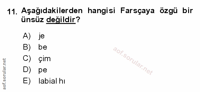 Soru 11