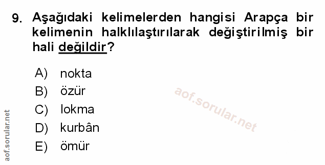 Soru 9