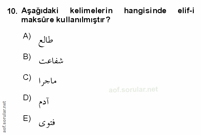 Soru 10