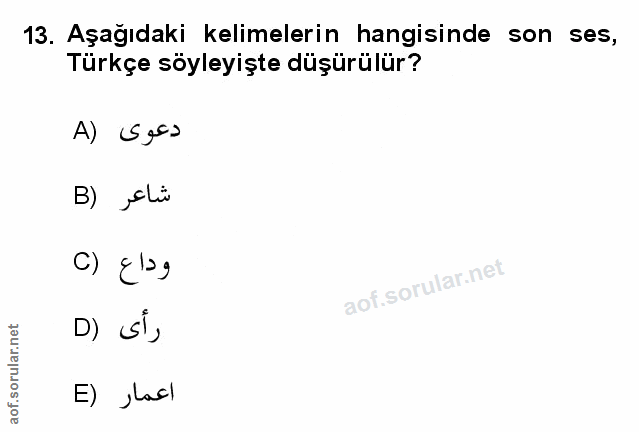 Soru 13