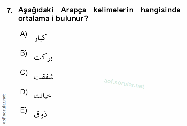 Soru 7