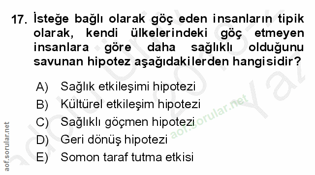 Soru 17