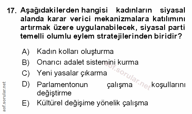 Soru 17