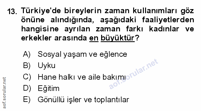 Soru 13