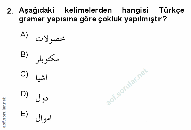 Soru 2