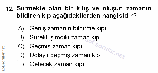 Soru 12