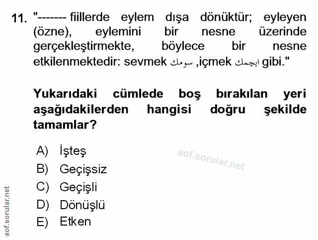 Soru 11