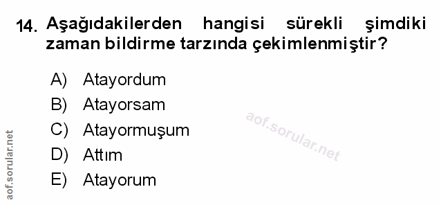 Soru 14