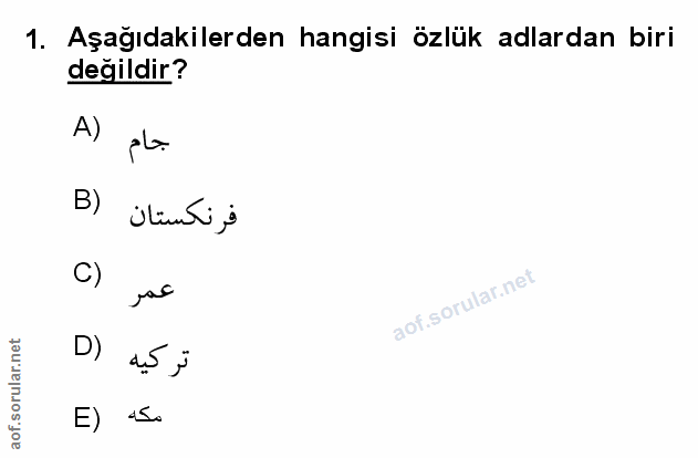 Soru 1
