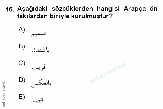 Soru 16