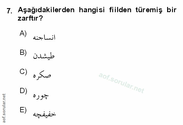 Soru 7