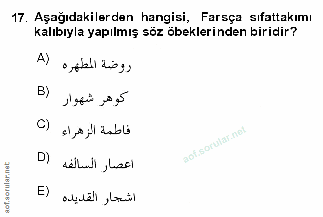 Soru 17