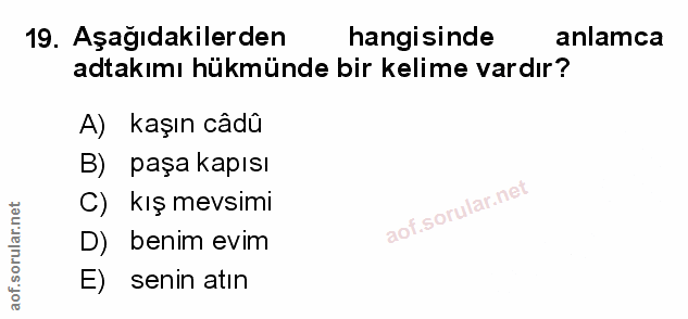 Soru 19
