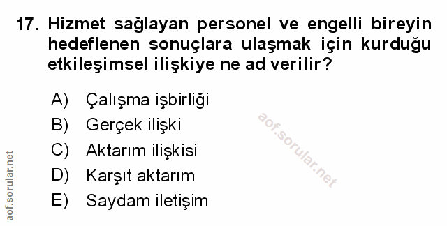 Soru 17
