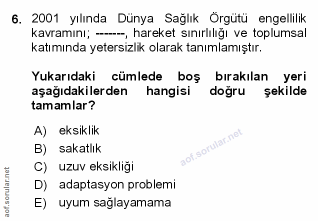 Soru 6
