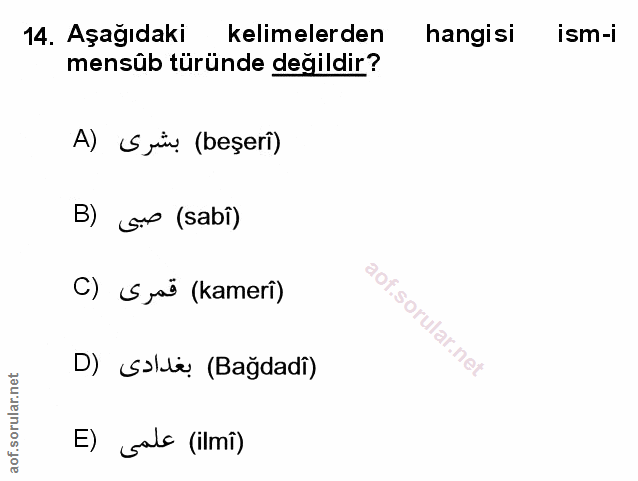 Soru 14