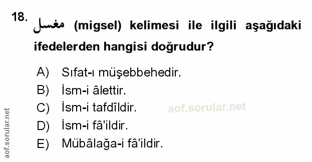 Soru 18