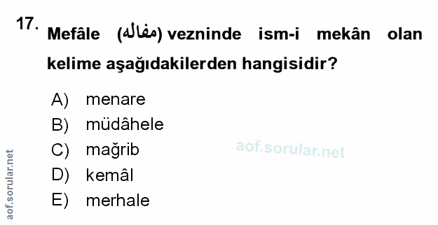 Soru 17
