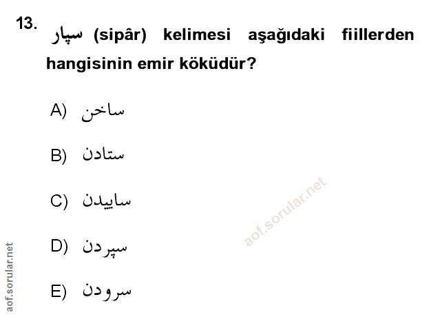 Soru 13
