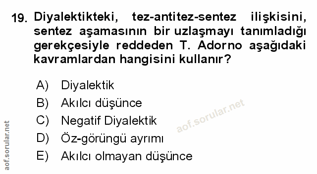 Soru 19