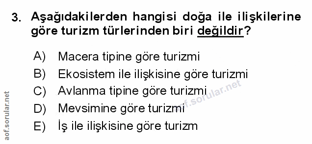 Soru 3