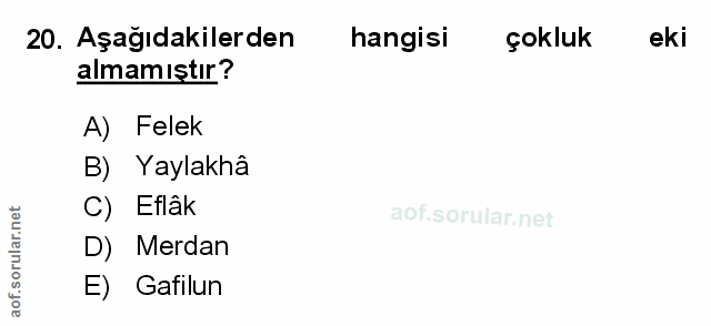Soru 20