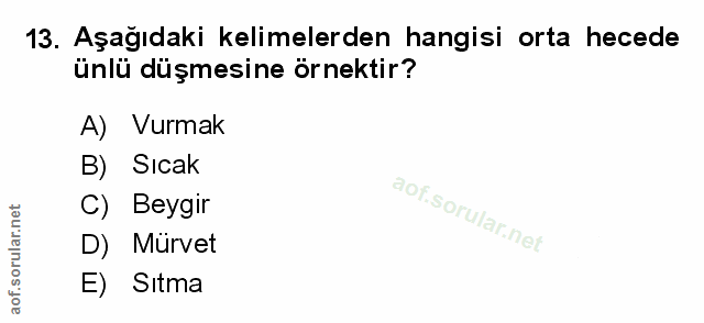 Soru 13