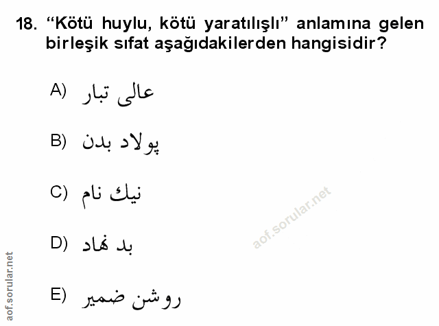 Soru 18