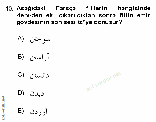 Soru 10