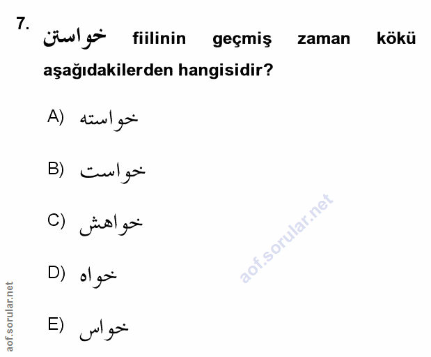 Soru 7