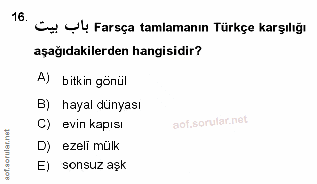 Soru 16