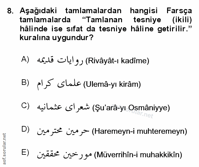 Soru 8