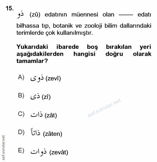 Soru 15
