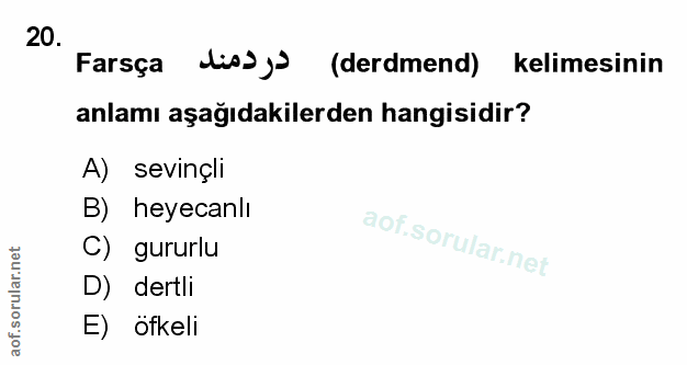 Soru 20