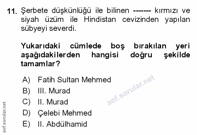 Soru 11